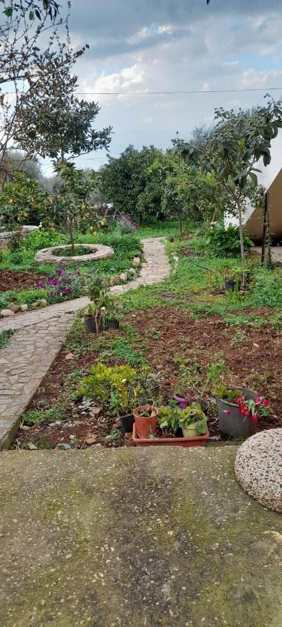 A Modern Farmhouse With Big Garden Trápeza Exterior foto