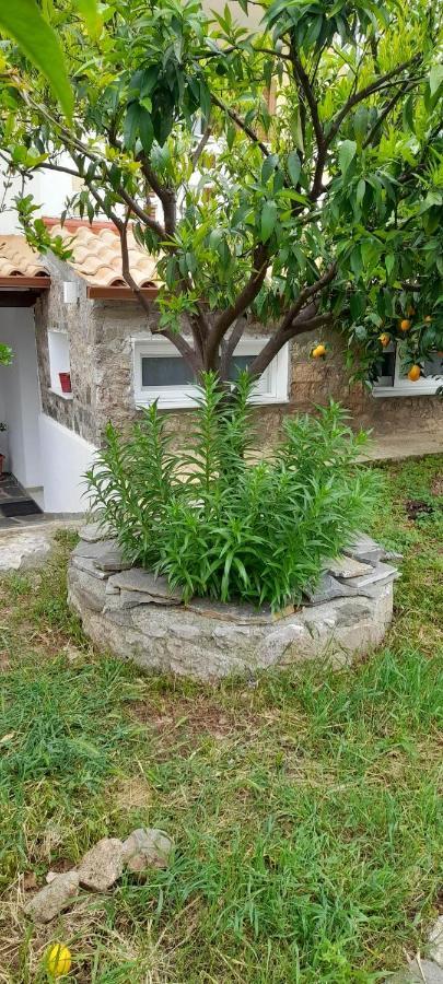 A Modern Farmhouse With Big Garden Trápeza Exterior foto