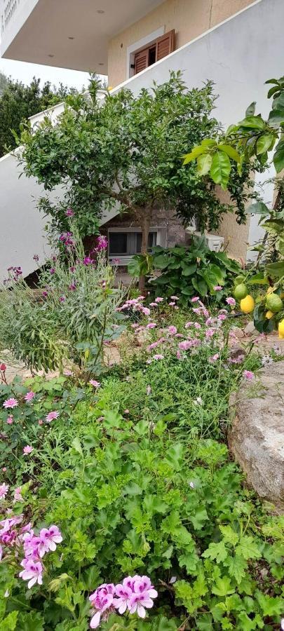 A Modern Farmhouse With Big Garden Trápeza Exterior foto